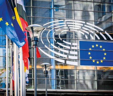 POTERI LEGISLATIVI DEL PARLAMENTO EUROPEO In seno al Parlamento, l attività legislativa si articola in due eventi principali: riunioni delle commissioni parlamentari e sessioni plenarie.