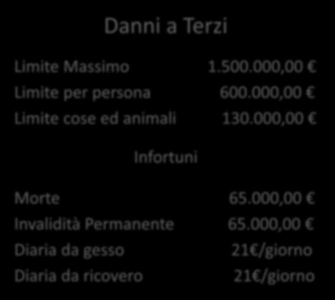 Normale Fidc 78 Limite Massimo 1.500.000,00 Limite per persona 600.