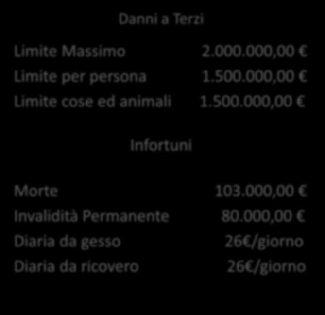 Silver Fidc 105 Limite Massimo 3.000.000,00 Limite per persona 3.000.000,00 Limite cose ed animali 750.000,00 Morte 100.000,00 Invalidità Permanente 100.