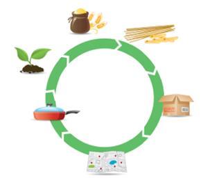 LIFE CYCLE ASSESSMENT APPROACH Since 2000, BARILLA has used the LCA to understand the potential of the methodology and to improve knowhow of the actors of the whole production chain. 1. Field 6.