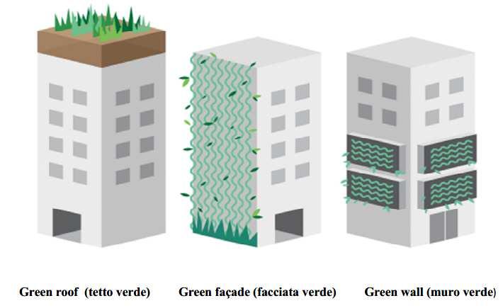 ELEMENTO VERDE NEGLI EDIFICI Le realizzazioni con le coltri vegetali definite tecnicamente «Green Roofs» o «Tetti verdi» e «Green Walls» o «Pareti Verdi» costituiscono un componente edilizio.