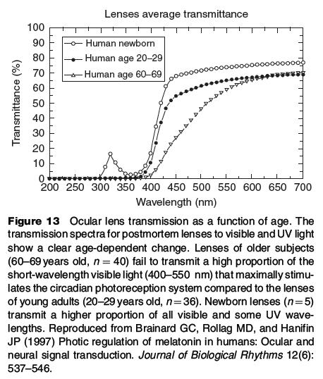 2. Grafico di influenza della luce blu sulla visione dell uomo al crescere dell eta Encyclopedia of Neuroscience (2009), vol. 2, pp.