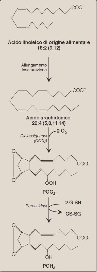 risposte allergiche e infiammatorie anche