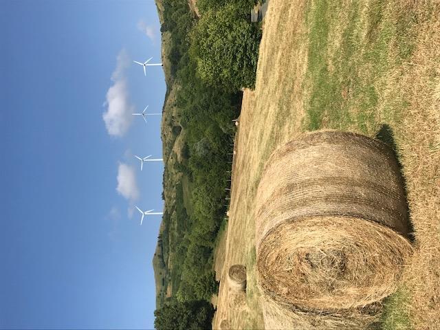 BIODISTRETTO VAL DI VARA VALLE DEL BIOLOGICO Il Biodistretto è localizzato nell Alta Val di Vara, la porzione più interna del territorio della provincia della Spezia, e comprende i Comuni di Varese