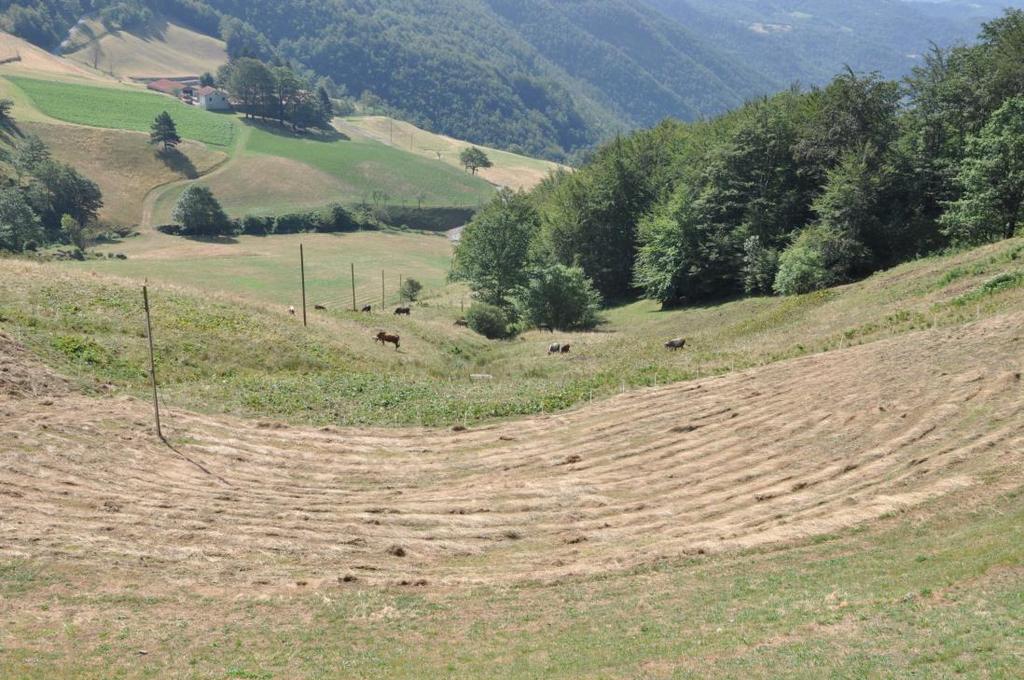 IL BIODISTRETTO Per gli attori