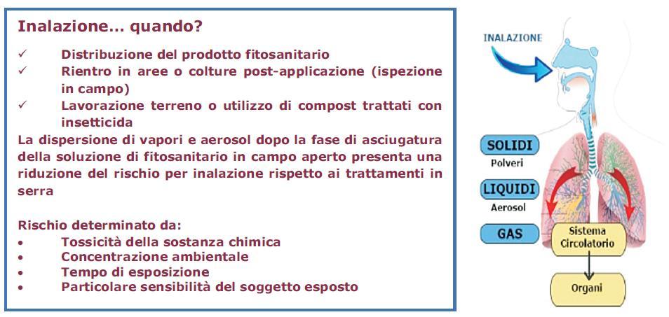 Esempio. Intossicazione da prodotti fitosanitari (PF).