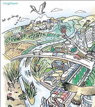 Verde e Città Le soluzioni basate sulle infrastrutture verdi rivestono un ruolo
