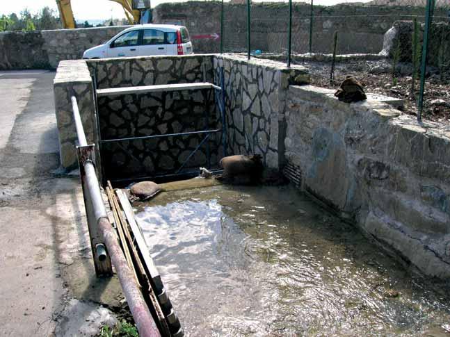 Gli interventi hanno portato al taglio selettivo della vegetazione presente sulle sponde e sugli argini del canale, eliminando le piante infestanti e gli arbusti che avrebbero rischiato di