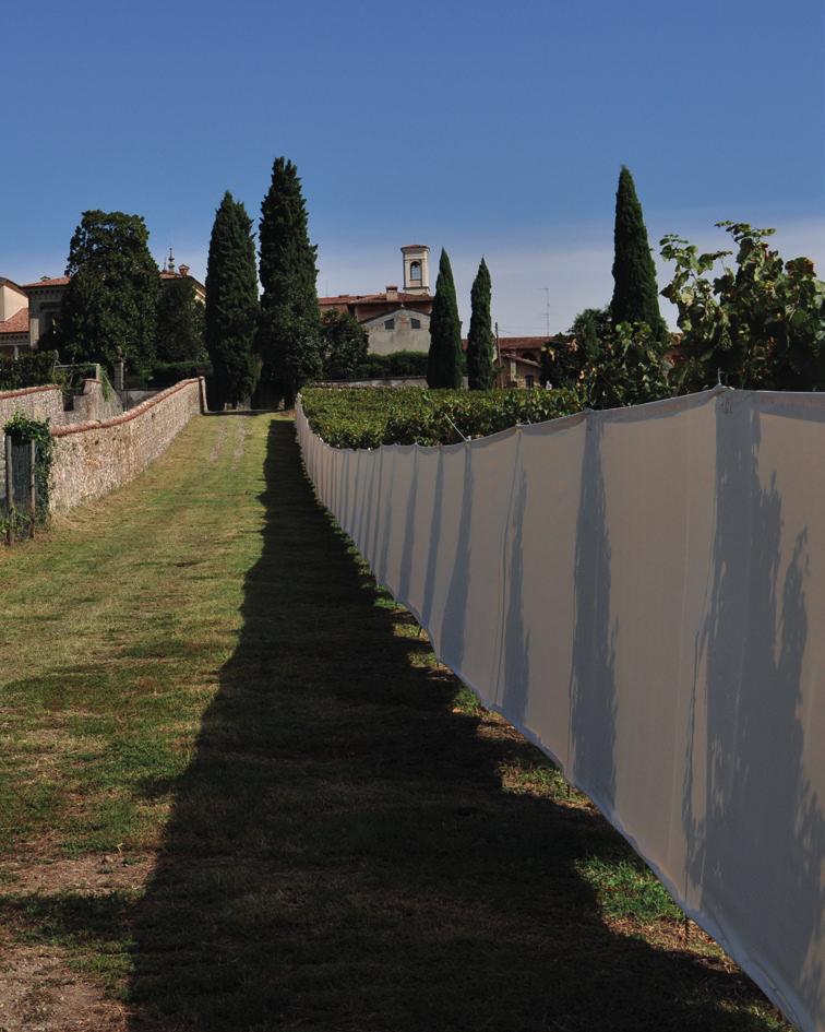 Pro Loco Erbusco con il sostegno di Bellavista, l Accademia di Belle Arti di Brera e Palazzo Reale organizza Un Chilometro di Tela Quando l arte arriva nel cuore di una vigna