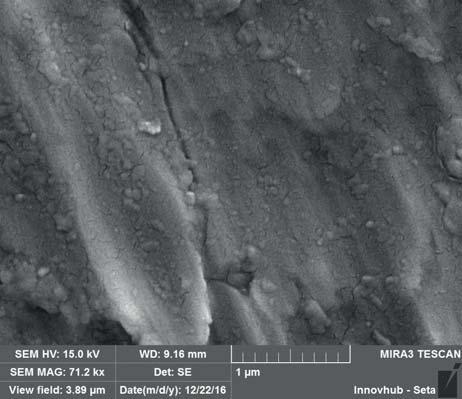 Chemtec 9A 1 Figura 9A: Risultati dell analisi al SEM: Q panel sgrassato con solvente. polimero è in grado di incapsulare al suo interno i contaminanti oleosi.