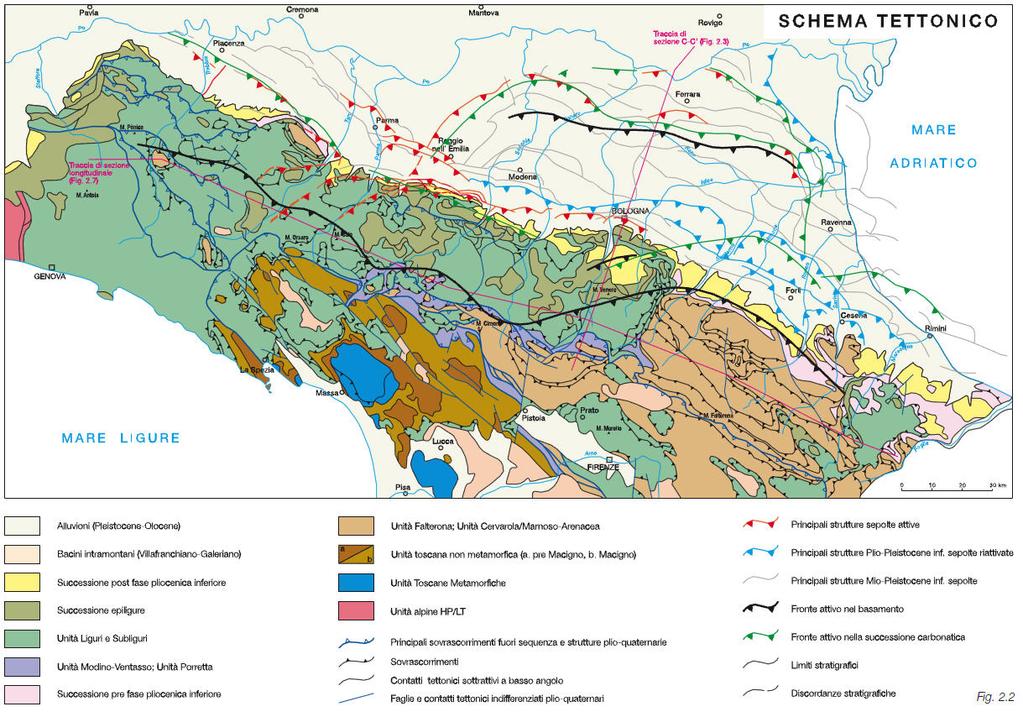 (linee) coincidenti con alcuni corsi d acqua appenninici, tra i quali il F. Panaro, che delimitano settori a diverso comportamento tettonico-sedimentario.