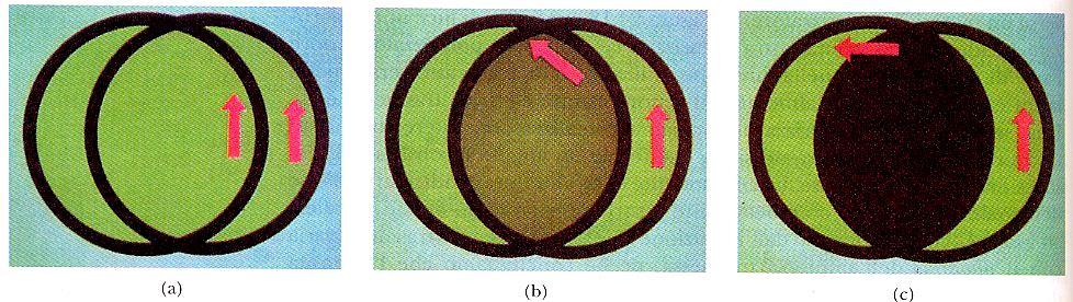 rotatorio specifico E y E cos I I cos