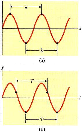 caratteristiche della onde:, T, y = f(x,t) onda unidimensionale : la minima distanza tra punti che oscillano