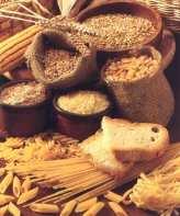 Whole grains Whole grain food intake has been consistently related to