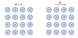 Paramagnetici Gli atomi hanno un momento di dipolo magnetico permanente che ha orientazione casuale per H=0 Sono liberi di ruotare e la agitazione termica tende a far ruotare i dipoli.