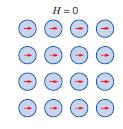 Ferromagnetici Gli atomi hanno un momento di dipolo magnetico permanente e i dipoli adiacenti interagiscono Allineamento dei dipoli lungo certi direzioni cristallografiche formazione di domini
