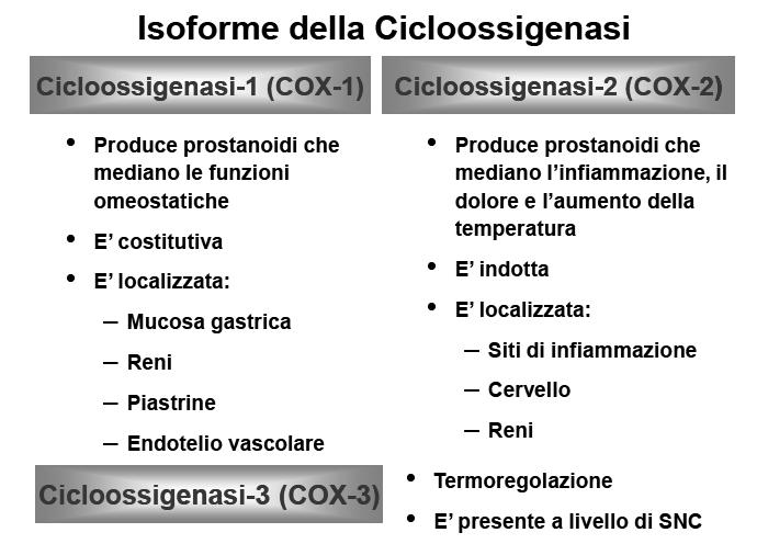 Differenze fra le due isoforme COX I Gene 22 Kb, cromosoma 9 mrna 2.8 Kb COX II 8 Kb, cromosoma 1 mrna 4.