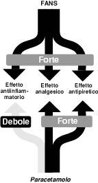 E in commercio in numerose associazioni con (Algopirina,.. ), antistaminici (Triaminic, Zerinol, ), vitamina C (Tachiflu, ), codeina (Co-efferalgan, Tachidol,.