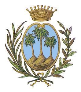 Comune di Palma di Montechiaro Provincia di Agrigento Oggetto: Elezioni Amministrative del 9/10 giugno 2013- Giuramento del Sindaco. Il Capo Settore Servizi Amministrativi Generali Dott.