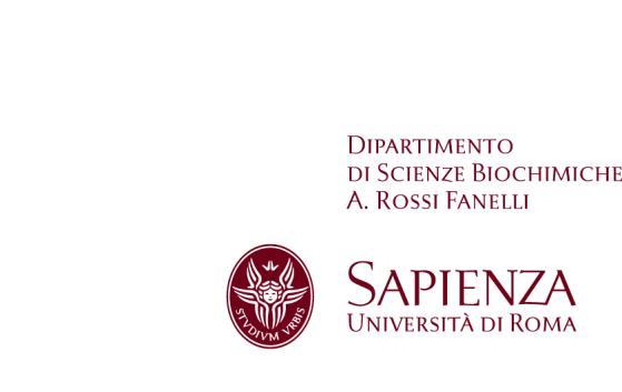 Verbale dei lavori della commissione giudicatrice della procedura di selezione per il conferimento di n. 2 borse di studio per attività di ricerca. Bando n. B/01/2017 Rep. n. 223/2017 Prot. n. 773/2017del 25/07/2017 da svolgersi presso il Dipartimento di Scienze Biochimiche A.