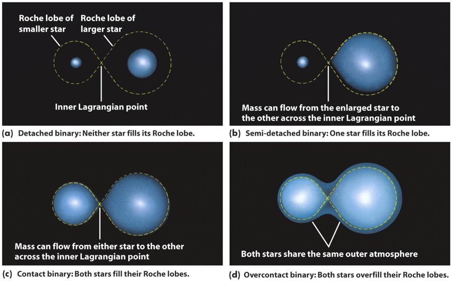 Le Stelle Binarie Le stelle binarie si possono classificare in base alle dimensioni delle stelle rispetto al loro