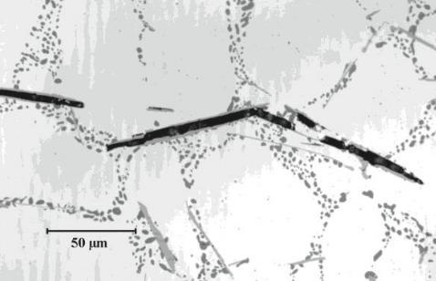 Frattura e intermetallici In presenza di un carico di trazione,