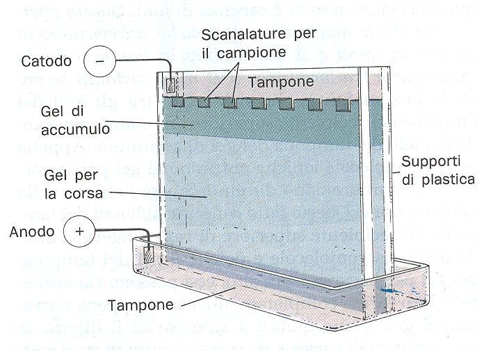 che permette di mettere a contatto la parte superiore e quella