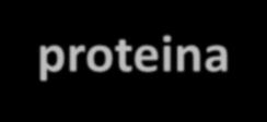 ionico SDS interagisce con le proteine con un rapporto costante: 1