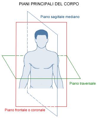 Anche il corpo umano presenta un piano di simmetria, ma tale simmetria bilaterale è piuttosto un apparenza esterna che una realtà anatomica.