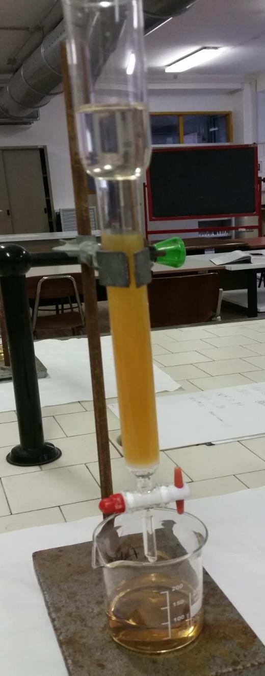 Separazione per scambio ionico di cationi complessi di Cr(III) (3d 3 ): [CrCl 2 (H 2 O) 4 ] +, [CrCl(H 2 O) 5 ] 2+, [Cr (H 2 O) 6 ] 3+ Cromatografia per