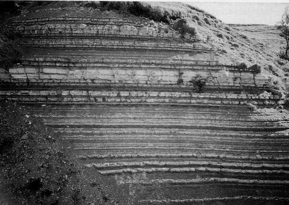 marne: rocce sedimentarie a granulometria fine (dei silt fini e delle argille) derivanti dalla litificazione (diagenesi) di fanghi costituiti da una mescolanza di sedimenti terrigeni fini (argille e