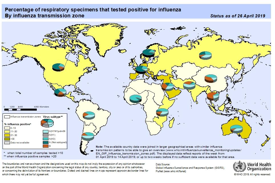 Secondo quanto riportato nell ultimo report del WHO (29 aprile 2019) e relativo a 137.187 campioni analizzati dalla rete mondiale del WHO-GISRS, nel periodo compreso tra il 1 e il 14 aprile 2019, 20.