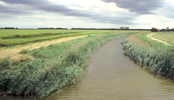 Per acqua e per terra: il percorso della Litoranea Veneta Codice attività: VV03 / Itinerario naturalistico a piedi e in barca per conoscere i diversi ambienti di ValleVecchia, della Laguna di Caorle