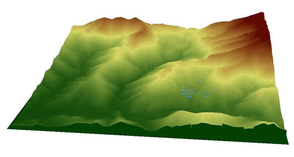 senso circa NW-SE da un particolare cinematismo con una velocità e profondità di scorrimento differenti. Fig.