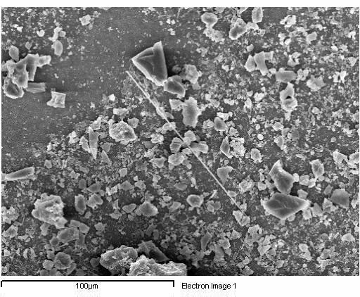 Minerali asbesto-simili Fluoro-edenite Zeoliti: Erionite,