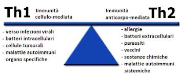 IL SISTEMA IMMUNITARIO Quando l'individuo è in salute vi è un equilibrio dinamico del