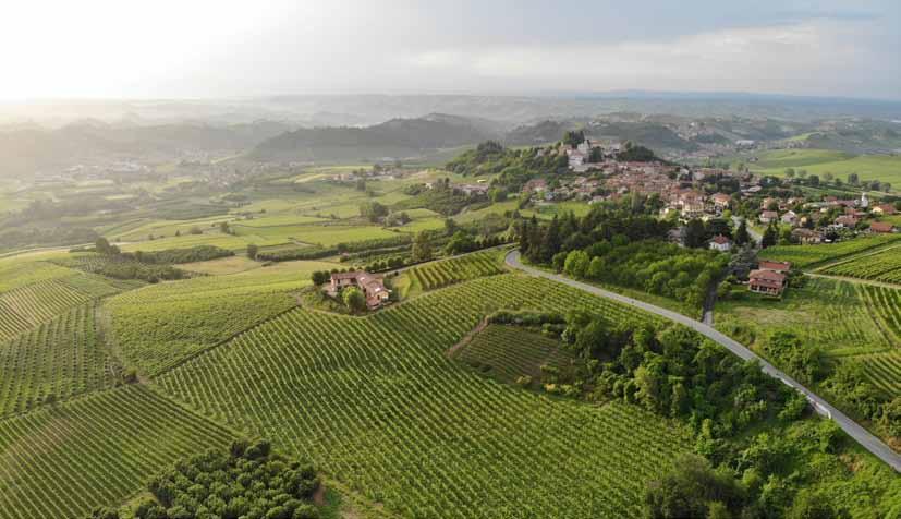 CORTINE ROERO ARNEIS DOCG LANGHE NEBBIOLO DOC