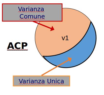 ACP vs.