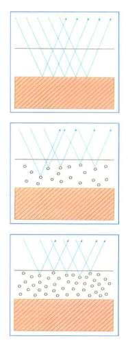 Protezione legno protezione contro i raggi UV Incolore Le verniciature incolori lasciano passare la luce visibile e i raggi UV fino al fondo del legno.