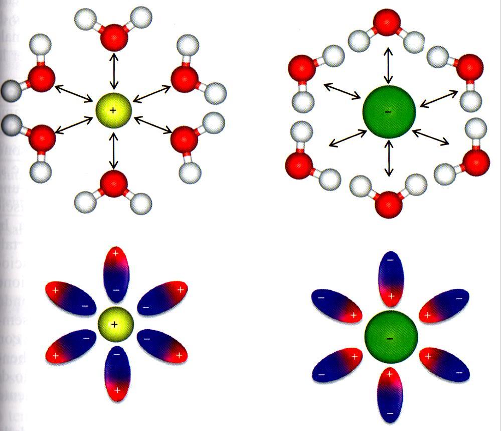 Solubilizzazione di un composto solido ionico Un solido ionico è caratterizzato da una forte interazione elettrostatica tra cationi ed anioni, organizzati in un reticolo cristallino.