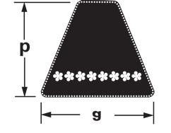 Non necessitano di selezioni particolari per realizzare trasmissioni multiple.