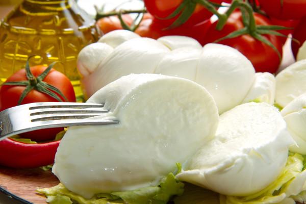 La Mozzarella di bufala La mozzarella di bufala è nata dall