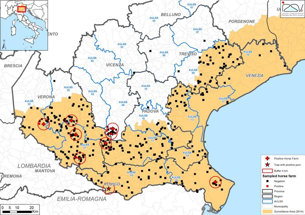 Nel corso della stagione estiva 2014 sono state identificate numerose positività per West Nile Virus nella Regione Veneto (Figura 1): Sorveglianza sierologica (equidi) 8 positività confermate dal