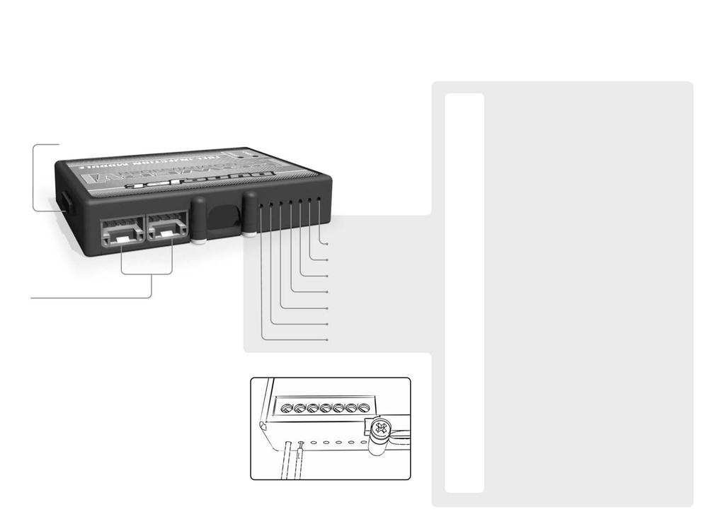 GUIDA AGLI INGRESSI PER ACCESSORI DEL POWER COMMANDER V COLLEGAMENTO ACCESSORI connessione UsB mappa - Il PCV ha la capacità di memorizzare 2 mappe differenti.