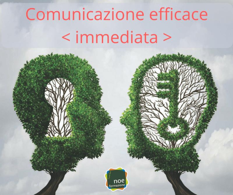 2) La fase intermedia è quella in cui si mantiene la relazione ove si forniscono informazioni personalizzate, cioè centrate sullo schema di riferimento dell'altro e a valutate insieme un obiettivo