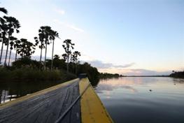 L esperienza è molto interessante soprattutto per il punto di vista ravvicinato di cui si può godere in barca; osservare gli animali durante le loro azioni quotidiane sulle rive del fiume è davvero