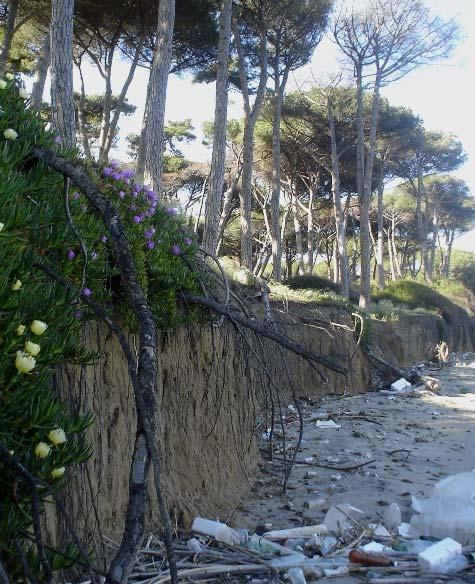 Regimazione dei corsi d acqua (restrizione degli alvei, arginature, costruzione di dighe e briglie, protezioni spondali ed opere di ingegneria