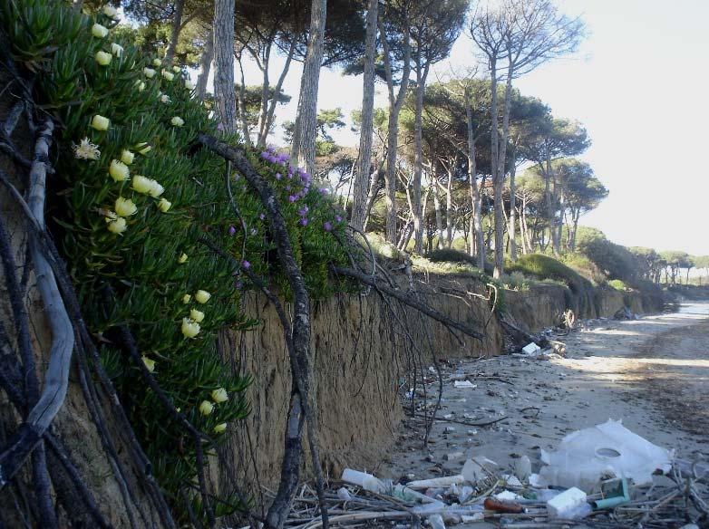 pregio per aree turistiche e naturalistiche La