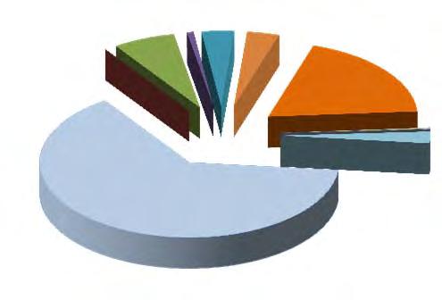 Elenco causali dei decreti 2011-2012 Dati al 30/04/2012 Causali Da Gennaio al 30/04/2012 2011 % su tot 2012 % su tot Diff.nza su anno crisi aziendale 1.612 63,79% 985 55,56% -627-38,90% amm.
