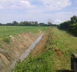 Usellin Mattina 3 a monte di via Postumia Vecchia in comune di San Pietro in Gù (FOTO 1); ROGGIA PUINETTA: rifacimento